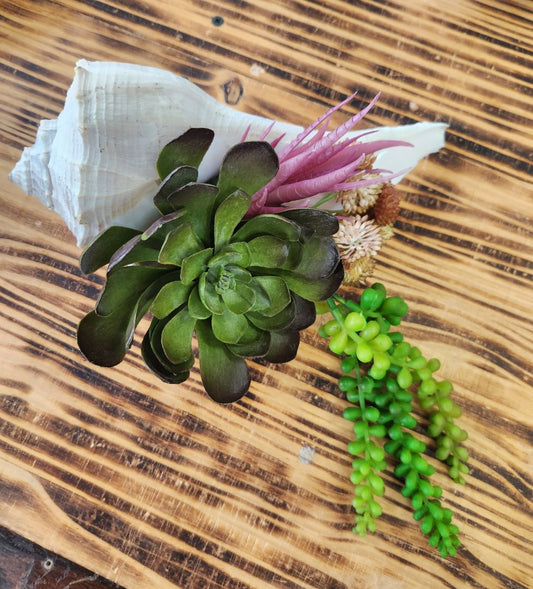 Large Sea Shell Decor