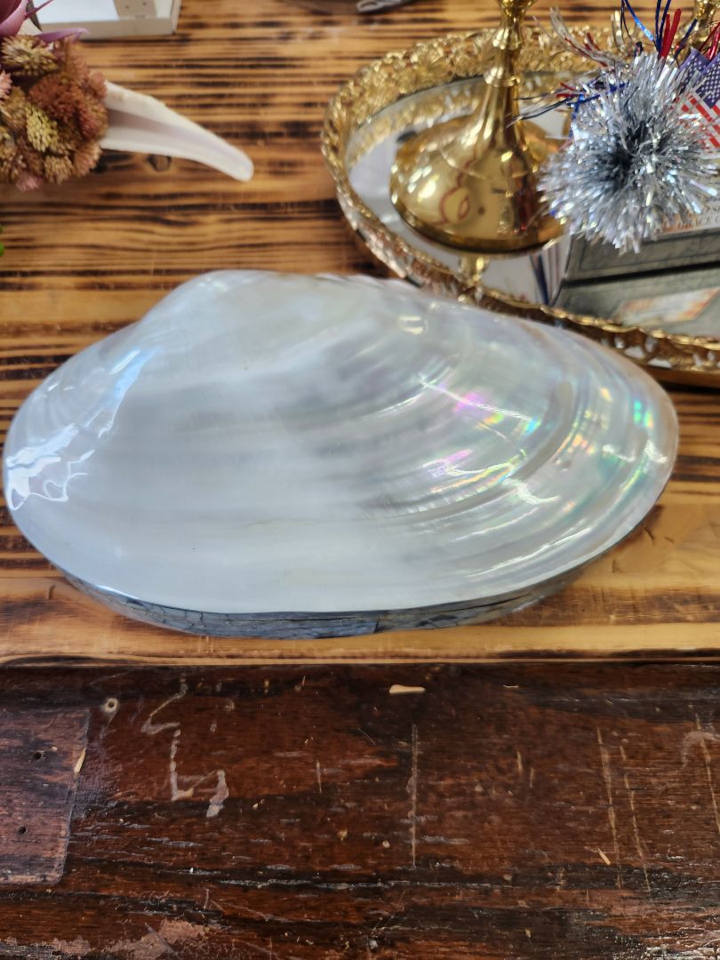 Sea Shell/Mother of Pearl Trinket Box Vintage
