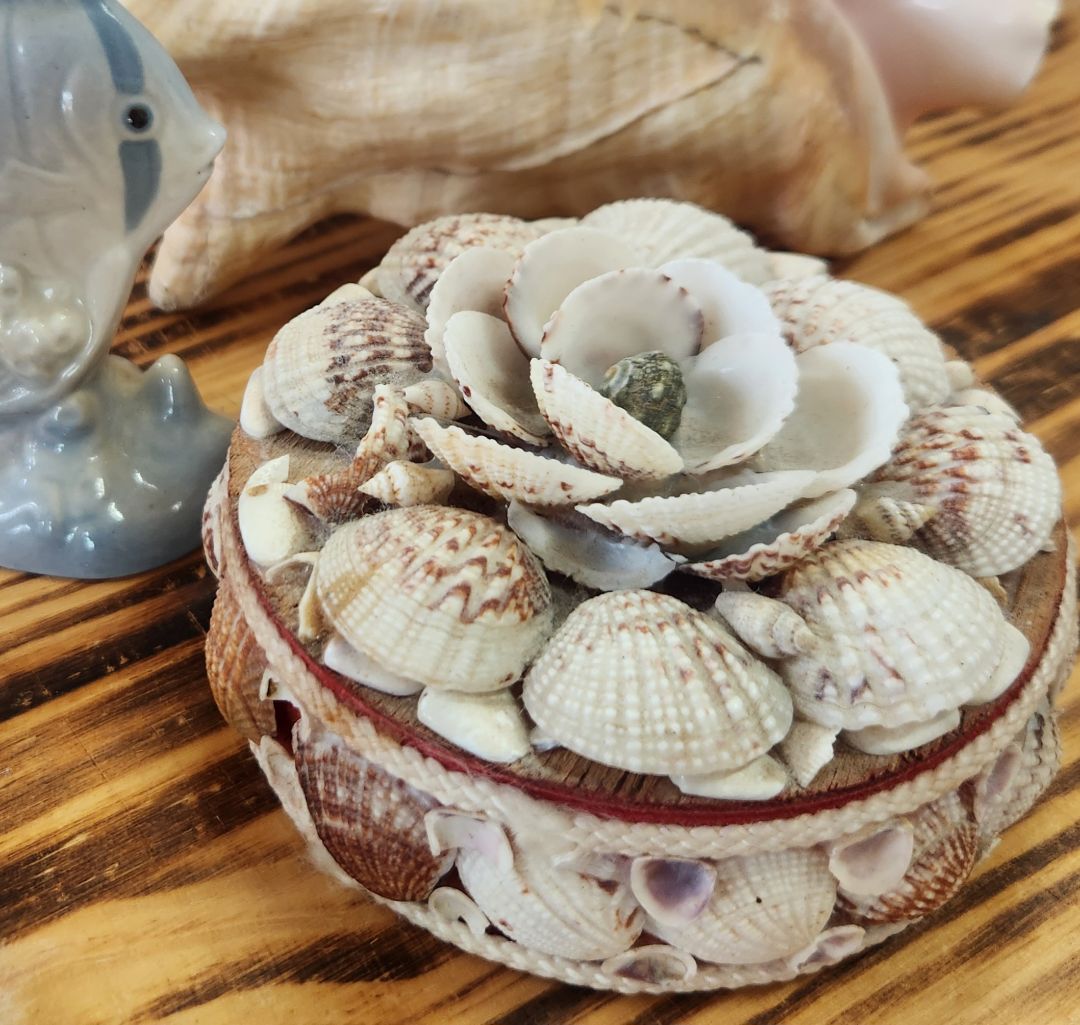Seashell Trinket Box Vintage