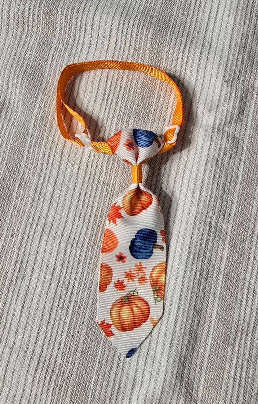 Pumpkins 5" Pet Tie,White, Amira’s dog treats