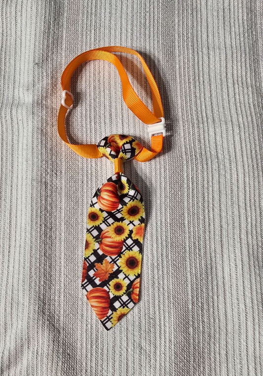Pumpkins/Sunflowers 5" Pet Tie,Plaid, Amira’s dog treats