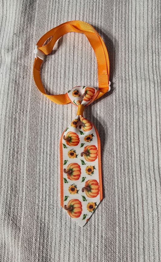Pumpkins/Sunflowers 5" Pet Tie,White, Amira’s dog treats