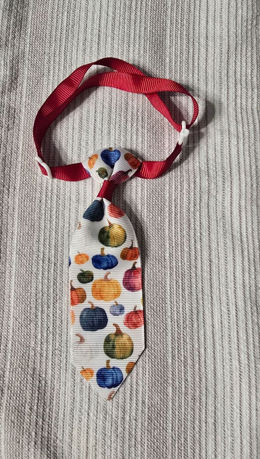 Multi-Color Pumpkins 5" Pet Tie,White, Amira’s dog treats