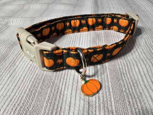 Pumpkins Collar, Medium,Green, Amira’s dog treats