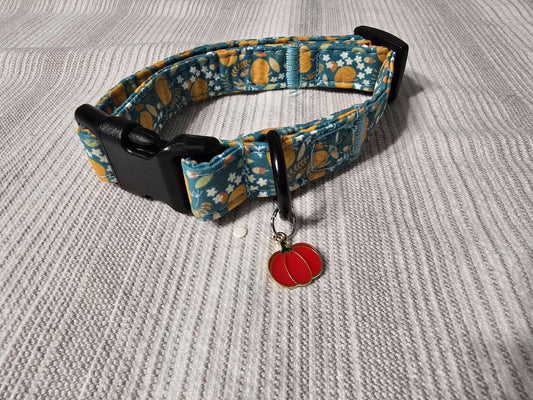 Pumpkins Collar, Small,Teal, Amira’s dog treats