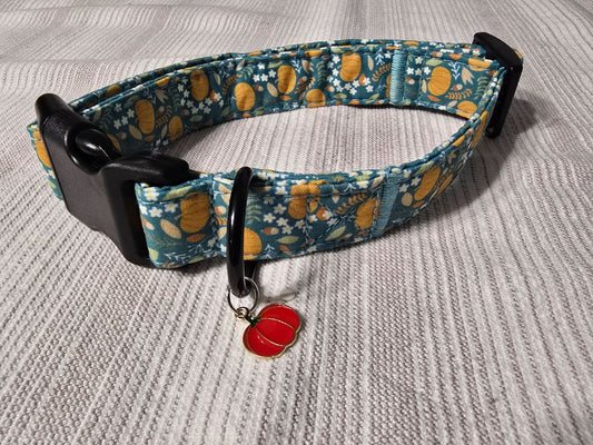 Pumpkins Collar, Medium,Teal, Amira’s dog treats