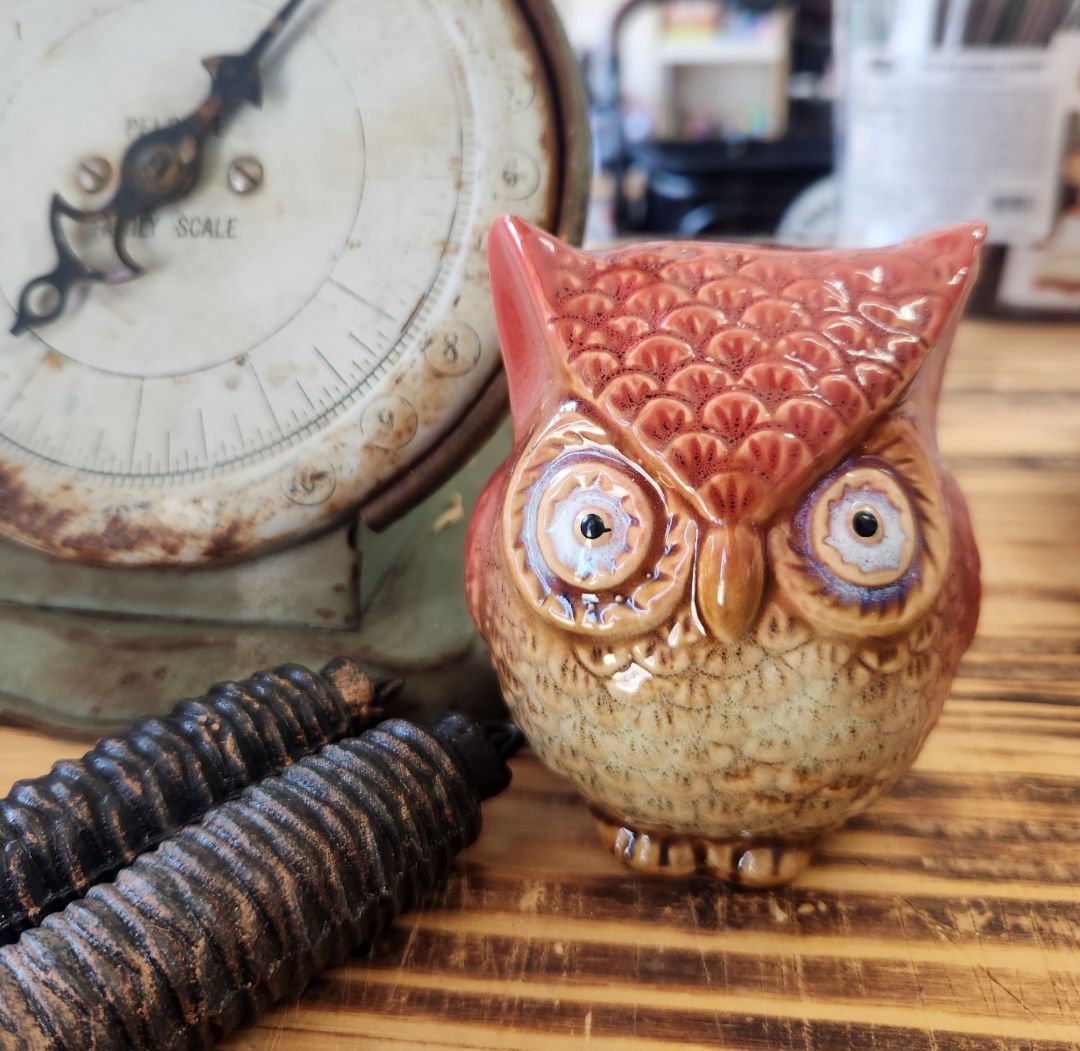 Small Ceramic Owl, DCH Family LLC