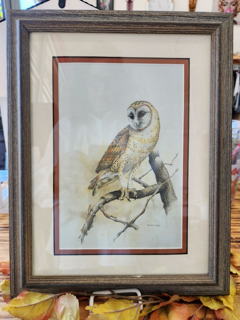 Decor Framed Barn Owl Print - J.F. Landenberger, DCH Family LLC