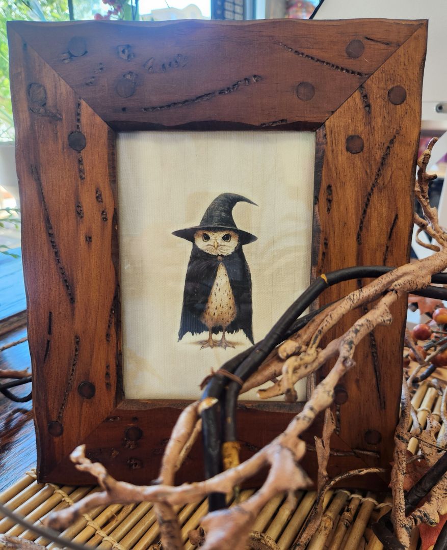 Decor Owl w/Witch Hat Print in Wood Frame, DCH Family LLC