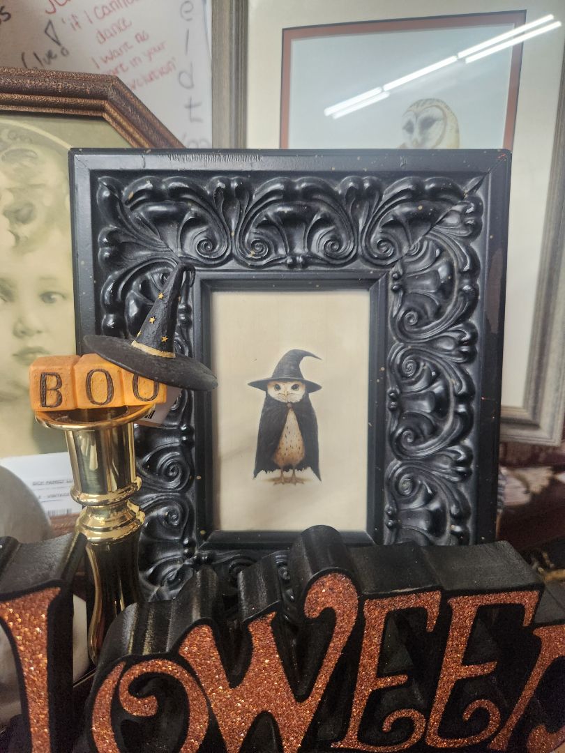 Framed Owl in Witch Hat Print, DCH Family LLC