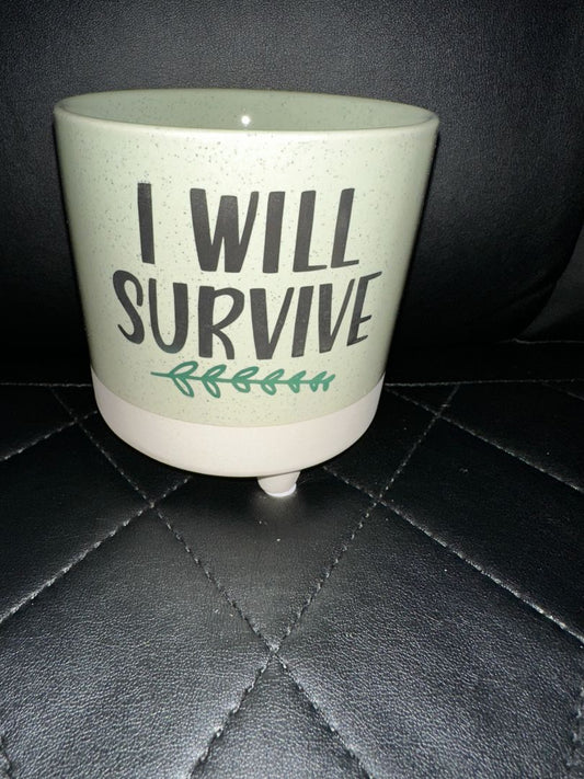 Flower Pot I Will Survive, Designed Locally