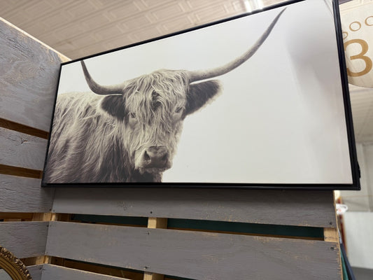 modern highland bull art