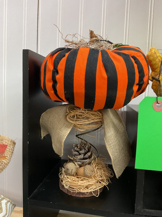 Orange/Black Pumpkin on Spring , Medium