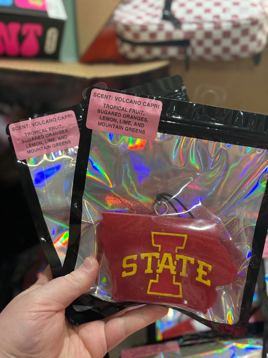 IA STATE VOL  Freshie, Full Size
