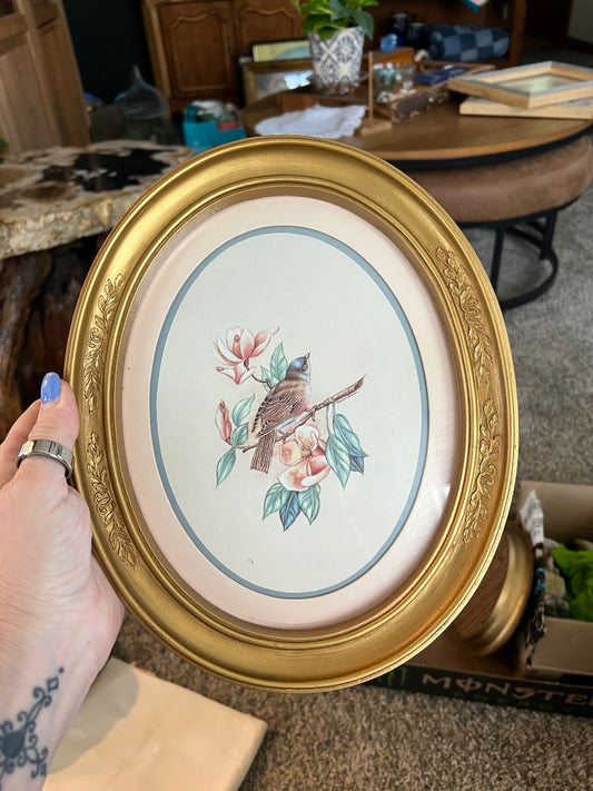 Set of 2 Bird Pics w/ Gold-colored Frame