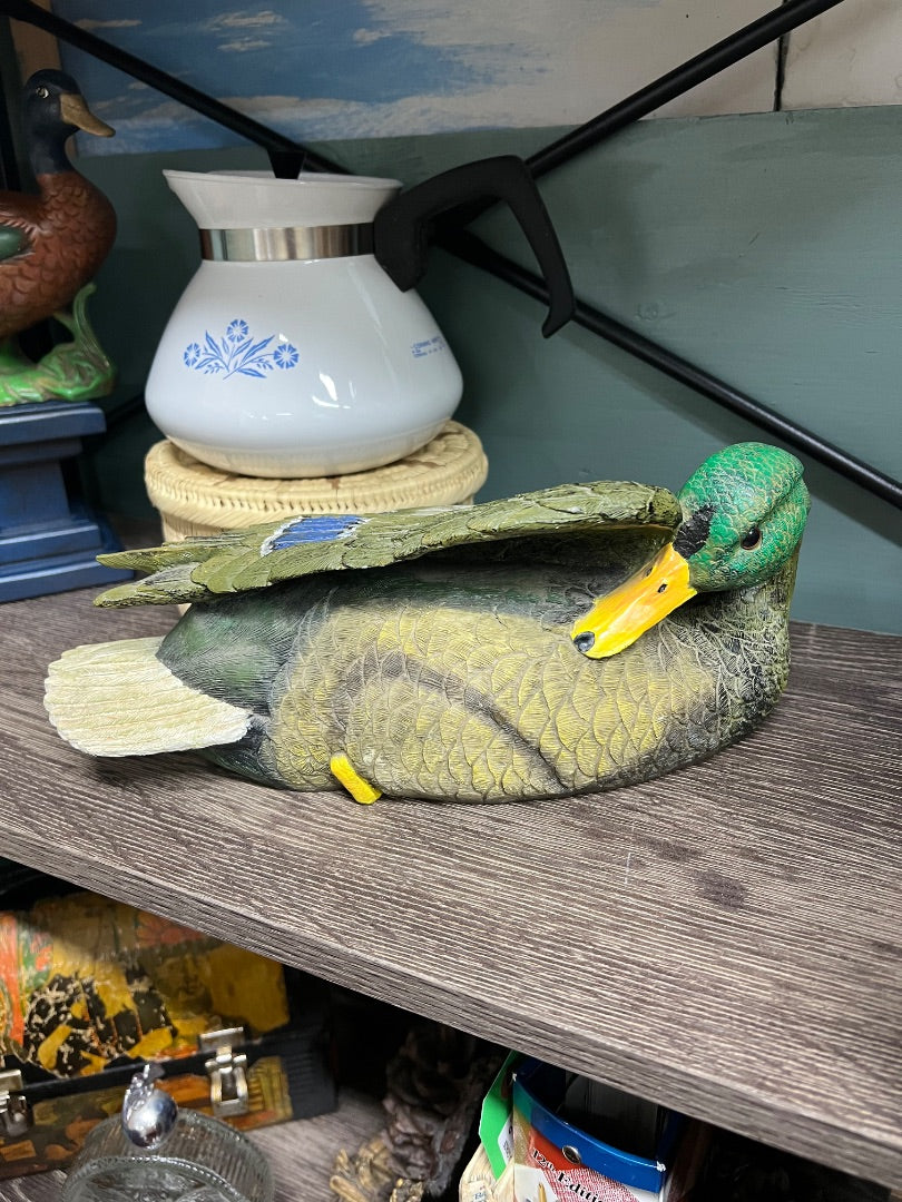 Mallard Duck pair