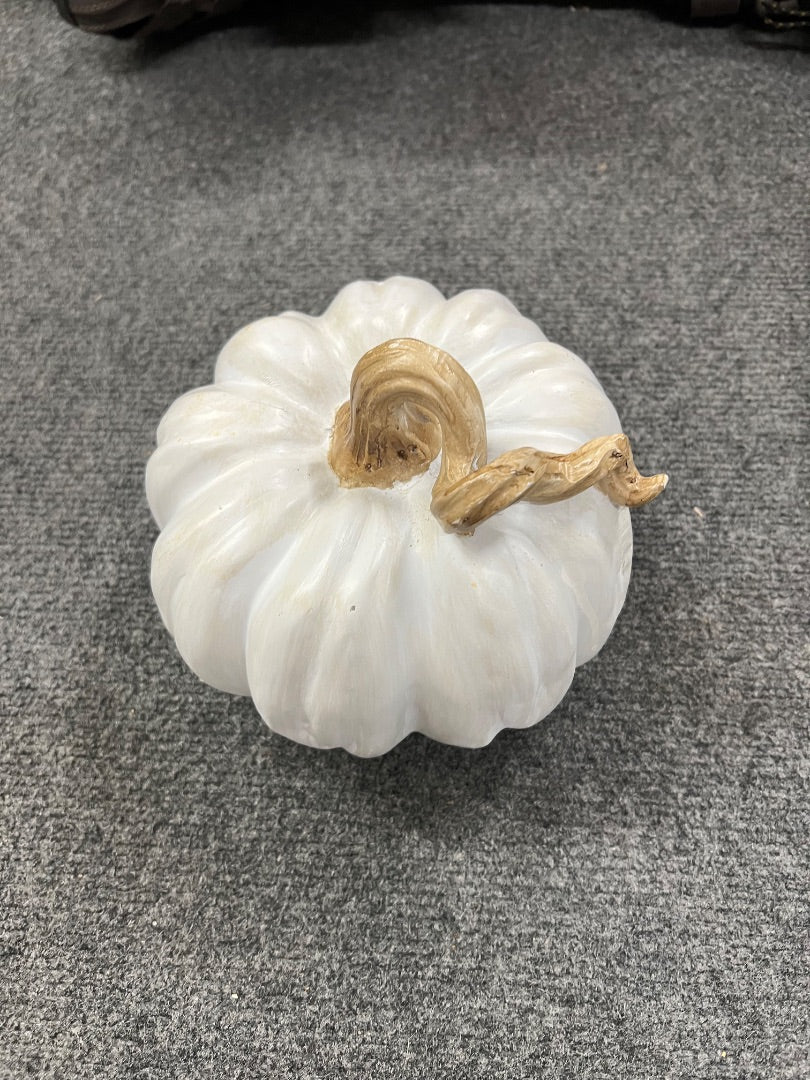 Sm White Pumpkin