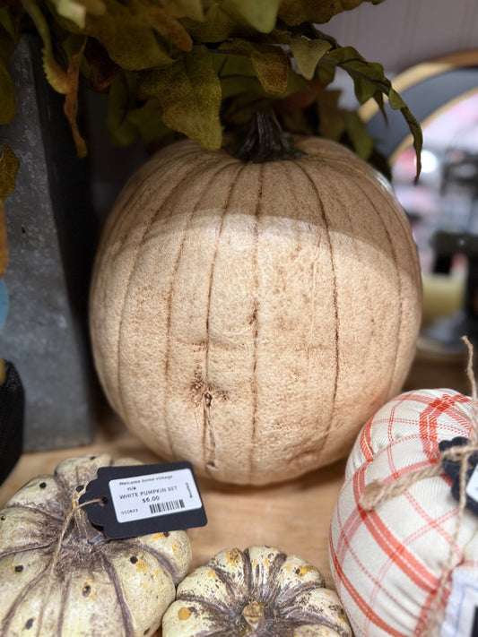 white n/a grateful pumpkin