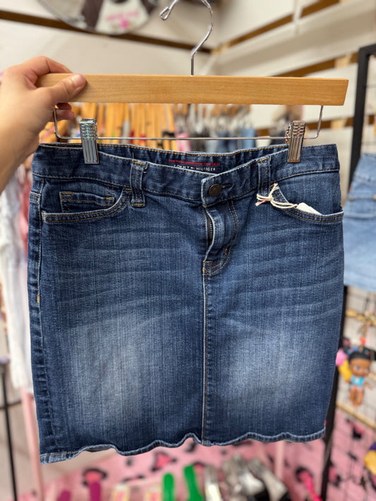 blue tommy hilfiger vint tommy mini, medium