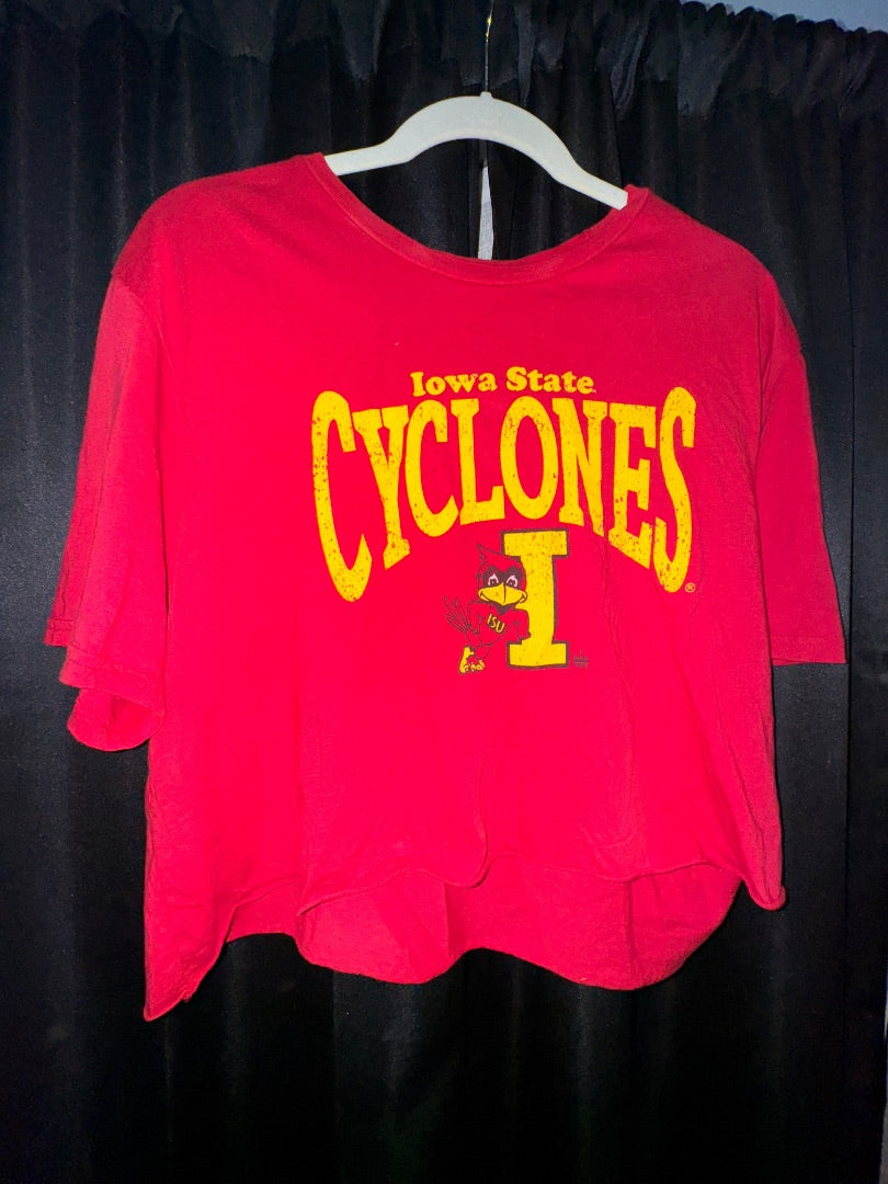 Red Reserve ISU cropped t-shirt, worn once, L