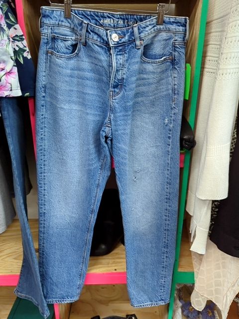 Modern Clothing American Eagle Tomgirl Jean, 4