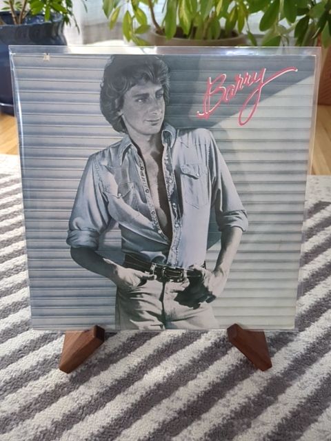Vinyl Barry manilow Berry