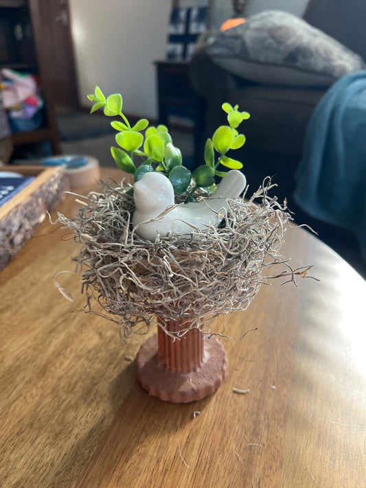 Bird on Nest