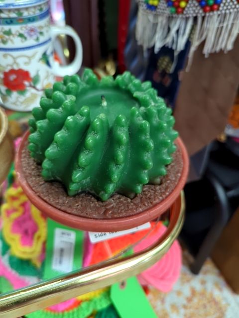 Cactus Candle