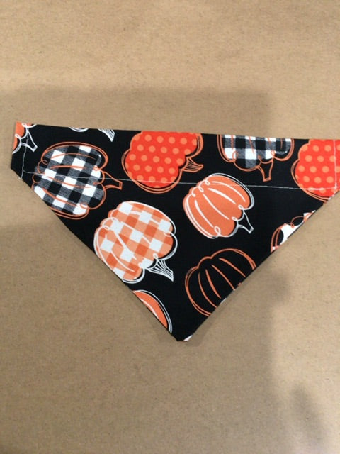 Black with pumpkins  Dog bandanna (over the collar), Medium