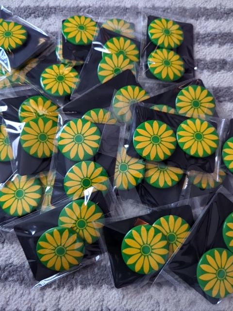 2 Flower Pins