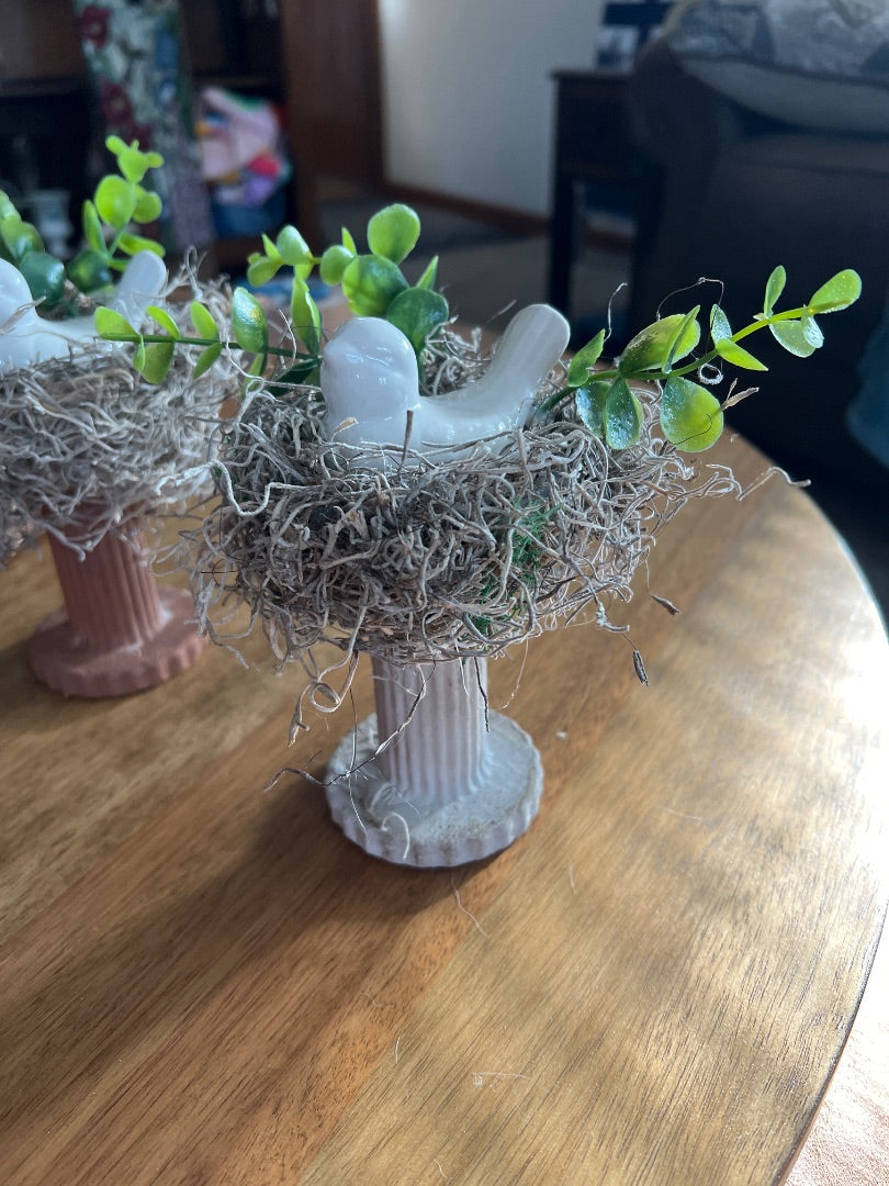 Bird on Nest