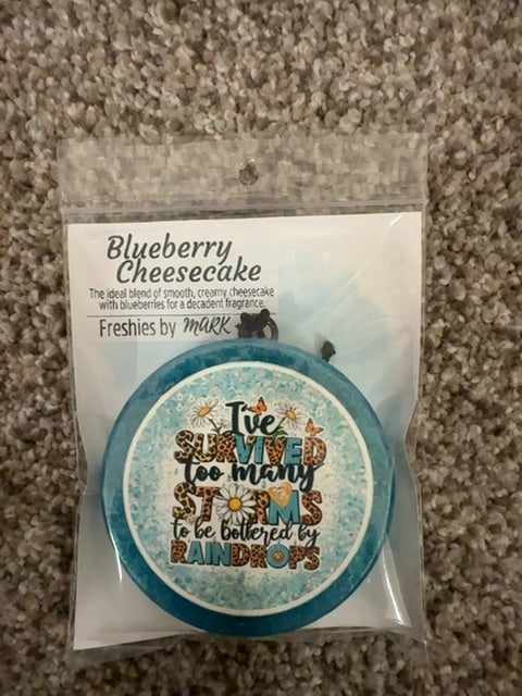 Storms Blueberry Cheesecake Freshie, Round
