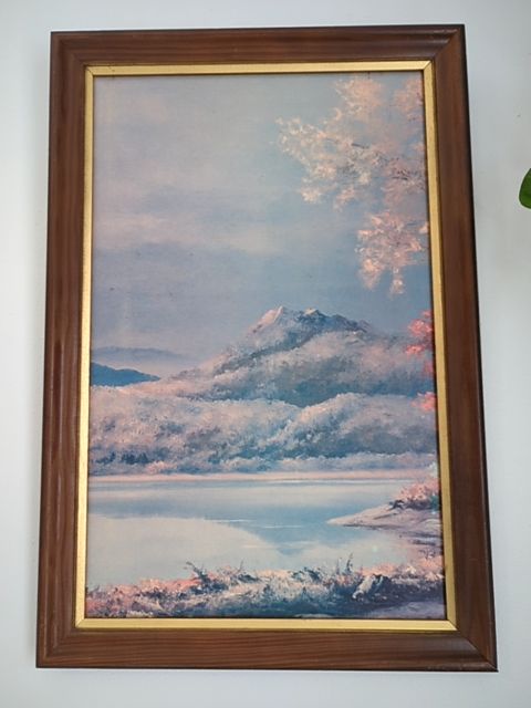 Vintage Framed Mountain Print