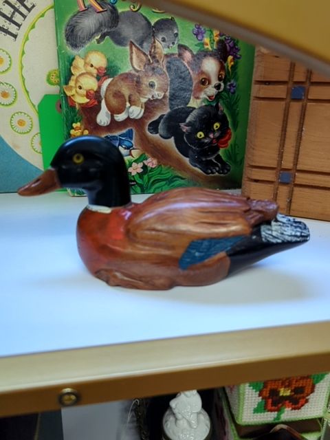 Wood Duck