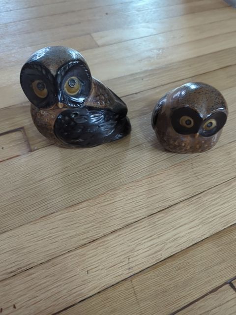 Owl