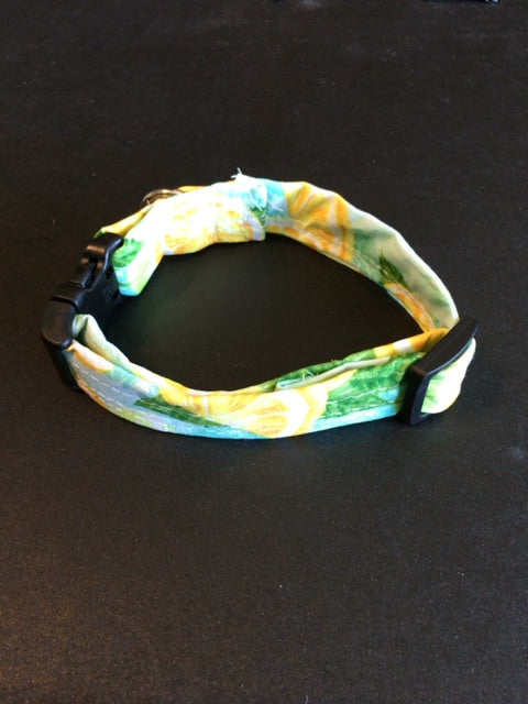 Lemons  Dog collar, Small