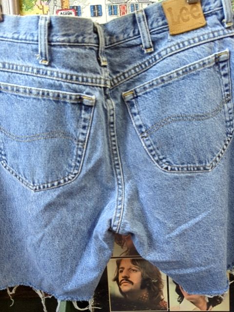 Vintage Clothing Dad Short Lee, 34
