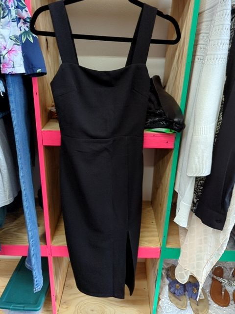 Modern Clothing Petal and Pup Dress, 2