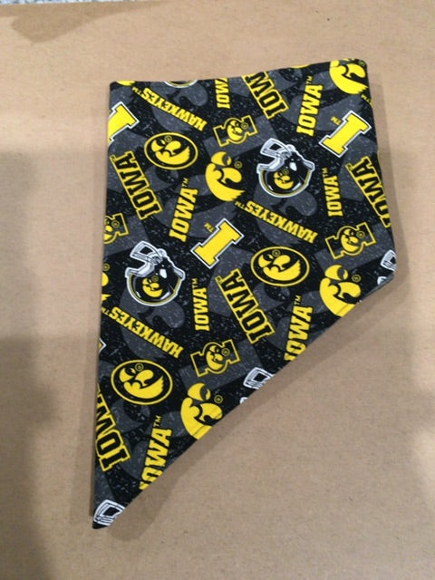 Hawkeyes  Dog bandanna- tied, Medium