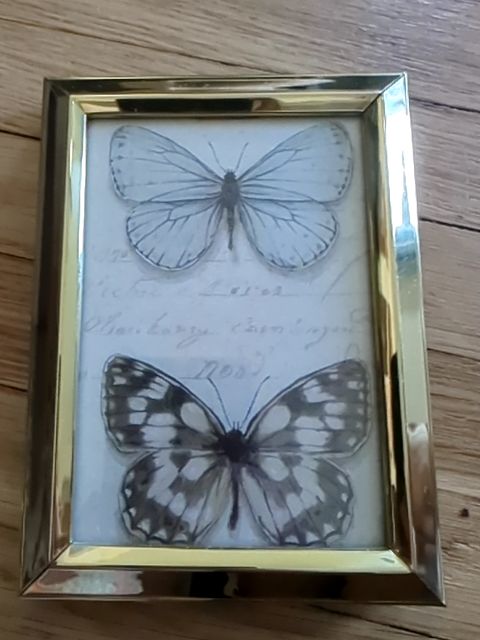 Brass Frame w/ Butterfly Print