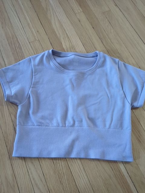 Modern Clothing Aerie offline purple crop, M