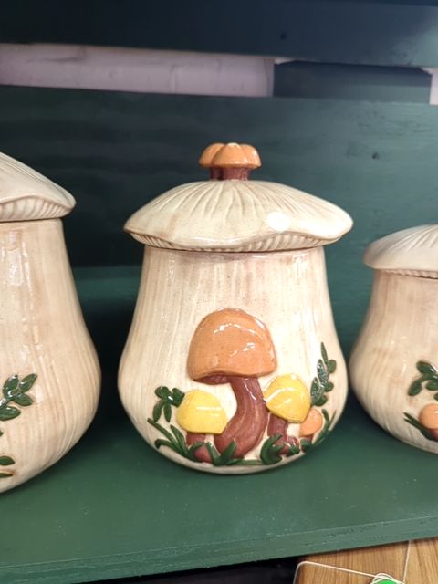 Mushroom Canister Set of 4