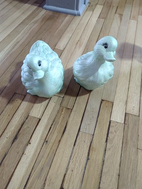 Eyelash Ducks