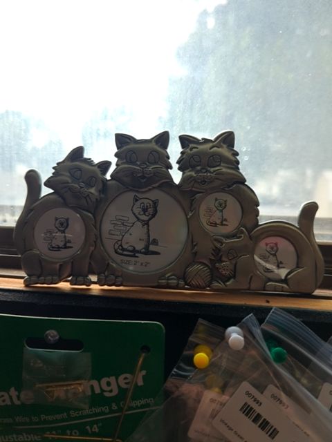 Cat Frame