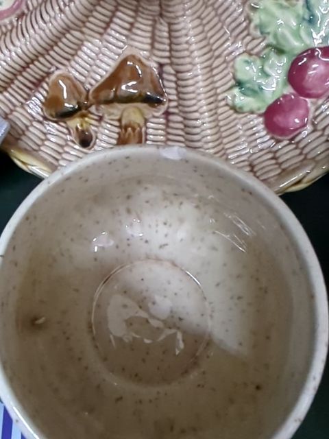 Mushroom Mug ** Chip