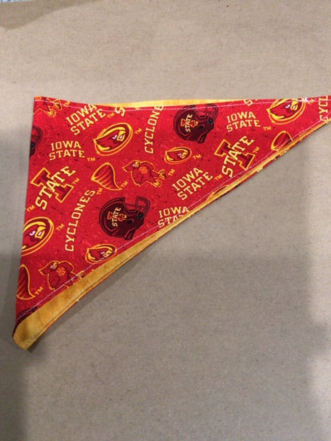 Cyclones  Dog bandanna- tied, Small