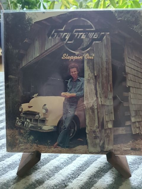 Vinyl Gary stewart Steppin out
