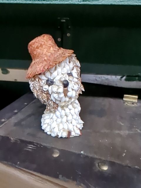 Shell Dog