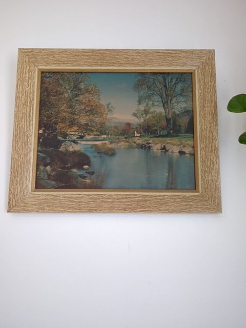 Vintage Framed Print