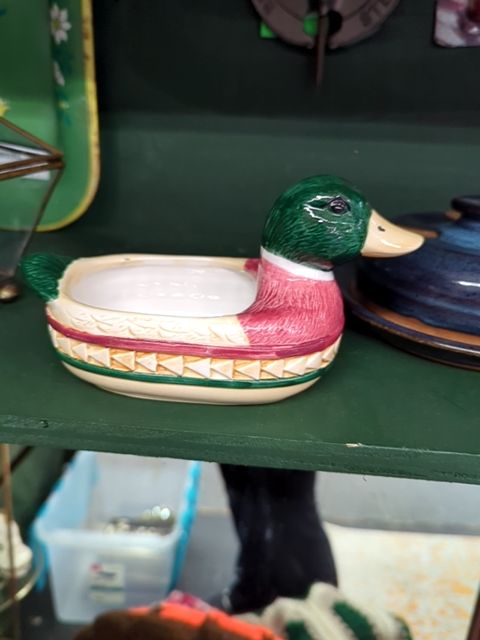Duck soap dish